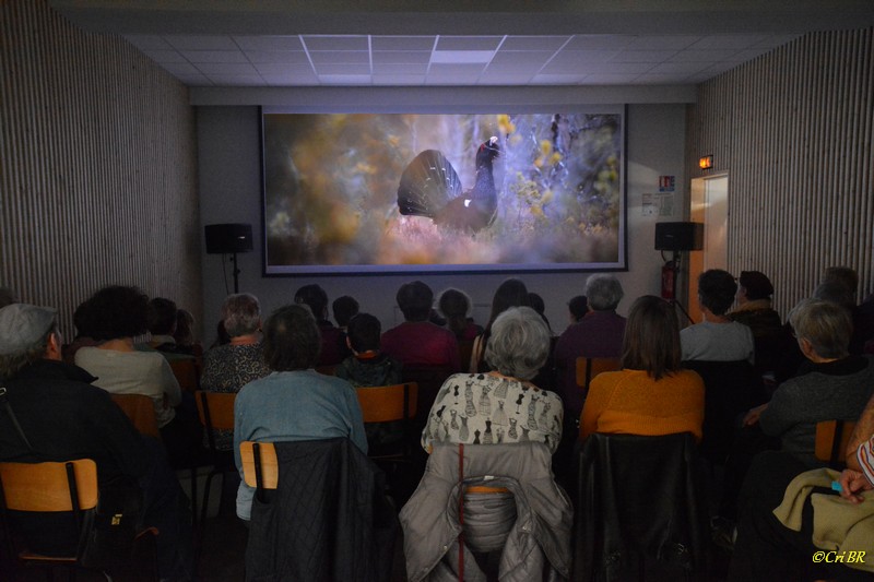 Lire la suite à propos de l’article Une « nouvelle » salle à Drom