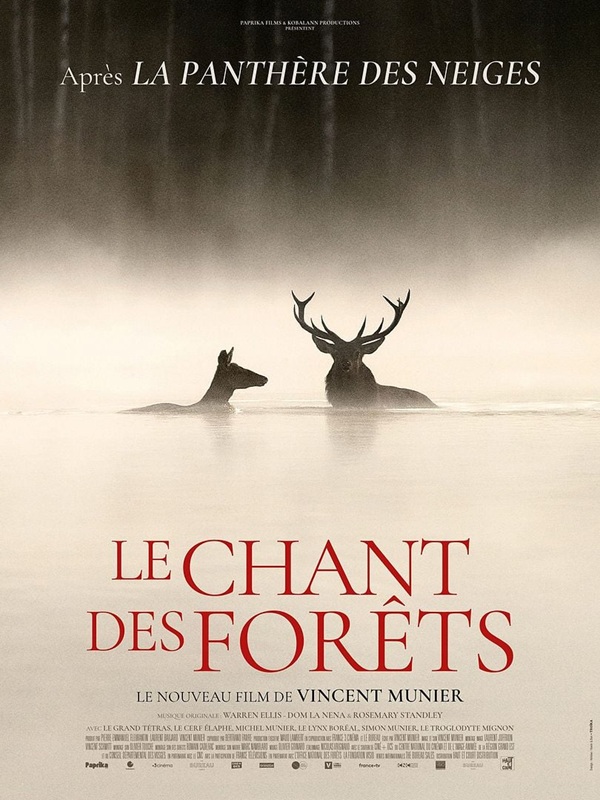 Lire la suite à propos de l’article Le chant des forêts